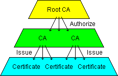 The X.509 Hierarchical Structure
